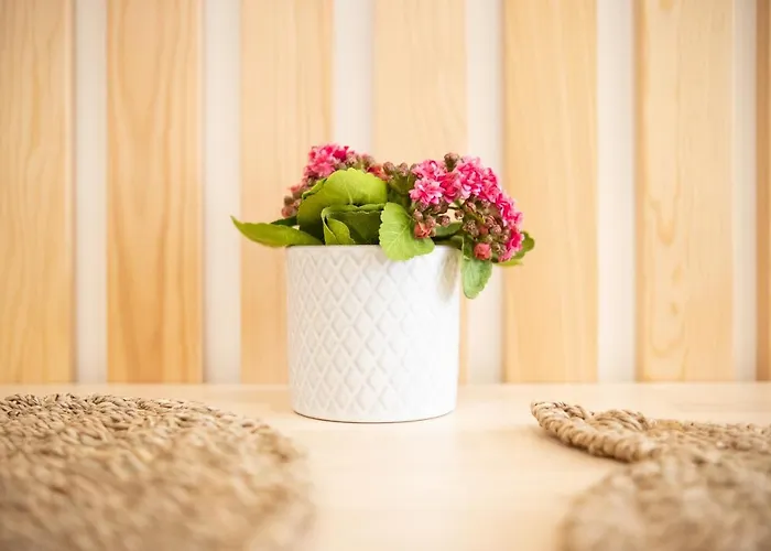 펜션 Iris - Dream *