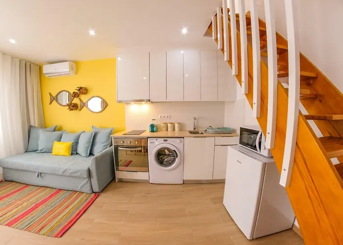 Iris - Dream * 나자레