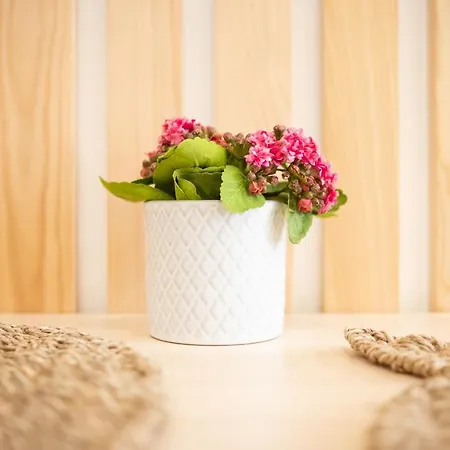 Dom wakacyjny Iris - Dream *